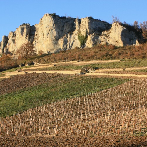 VIGNE D'ORNANS